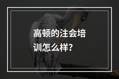 高顿的注会培训怎么样？