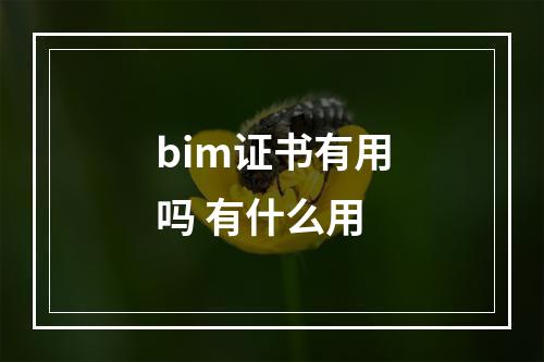 bim证书有用吗 有什么用