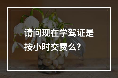 请问现在学驾证是按小时交费么？