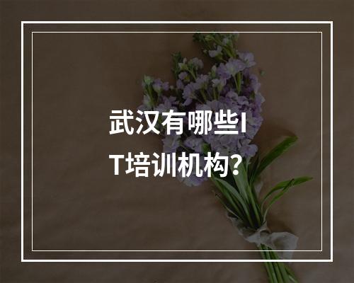 武汉有哪些IT培训机构？