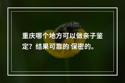 重庆哪个地方可以做亲子鉴定？结果可靠的 保密的。