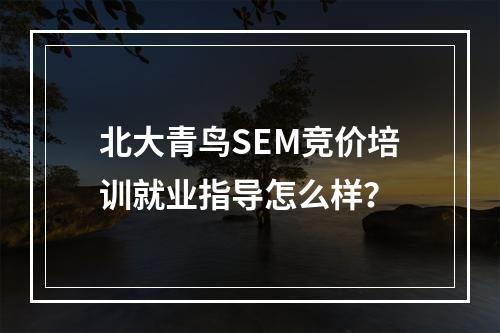 北大青鸟SEM竞价培训就业指导怎么样？