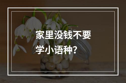 家里没钱不要学小语种？