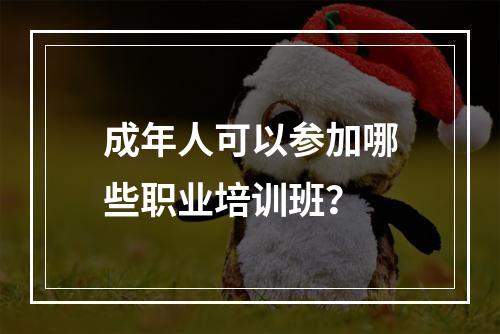 成年人可以参加哪些职业培训班？