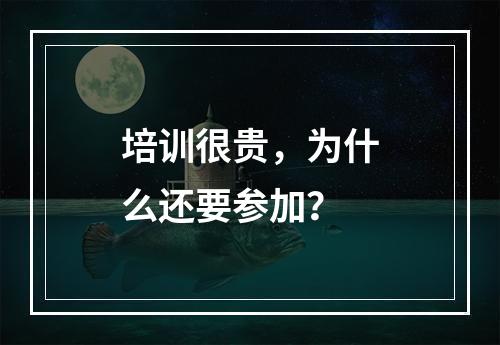 培训很贵，为什么还要参加？