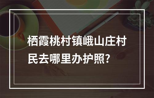 栖霞桃村镇峨山庄村民去哪里办护照?