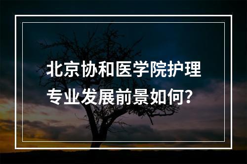 北京协和医学院护理专业发展前景如何？