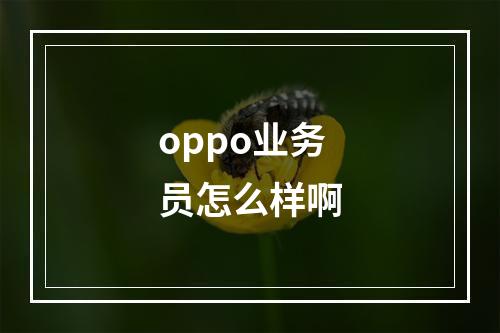 oppo业务员怎么样啊