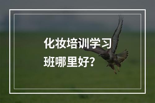 化妆培训学习班哪里好？