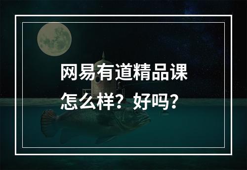 网易有道精品课怎么样？好吗？