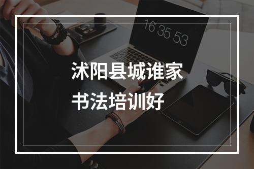 沭阳县城谁家书法培训好