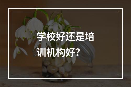 学校好还是培训机构好？