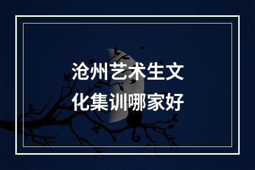 沧州艺术生文化集训哪家好