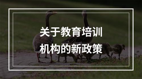 关于教育培训机构的新政策