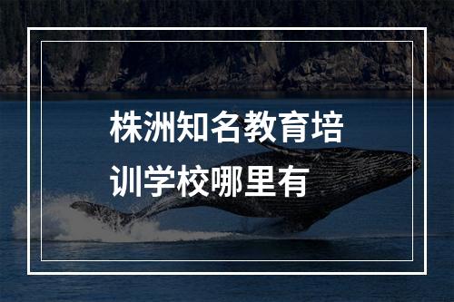 株洲知名教育培训学校哪里有