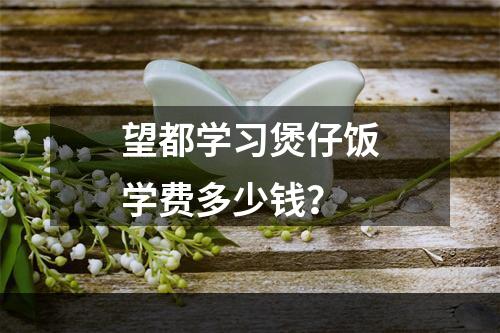 望都学习煲仔饭学费多少钱？