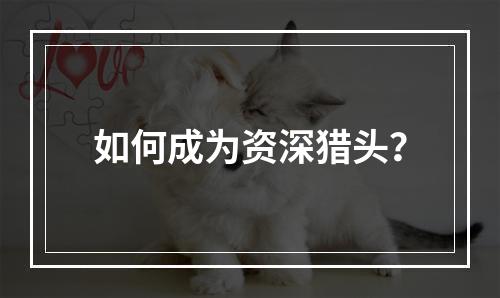 如何成为资深猎头？