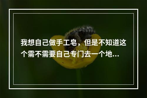 我想自己做手工皂，但是不知道这个需不需要自己专门去一个地方学习呢，希望别人可以诚挚的告诉我