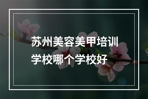 苏州美容美甲培训学校哪个学校好