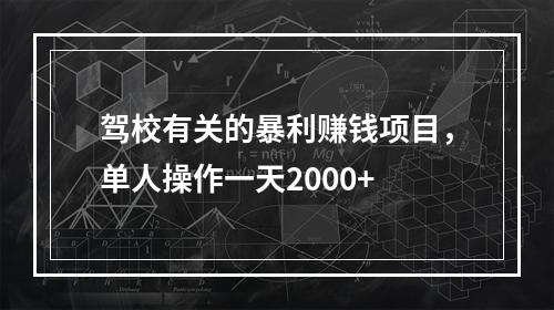 驾校有关的暴利赚钱项目，单人操作一天2000+