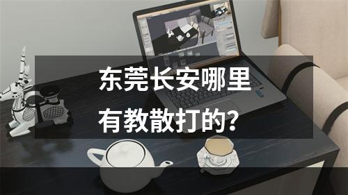 东莞长安哪里有教散打的？