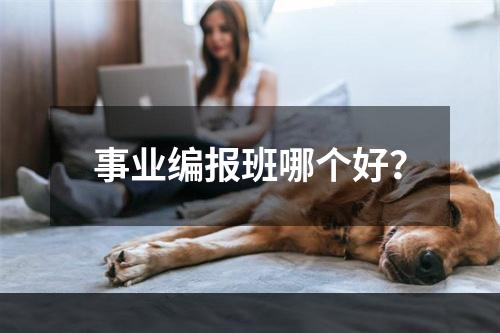 事业编报班哪个好？