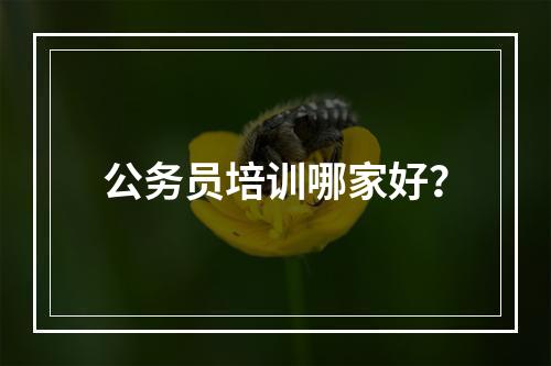 公务员培训哪家好？