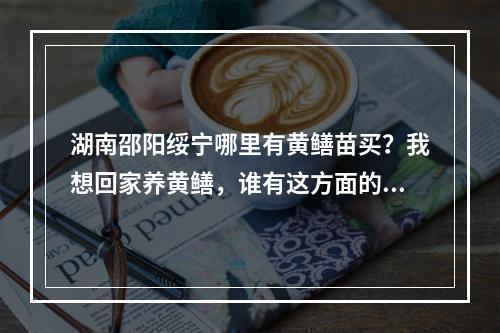 湖南邵阳绥宁哪里有黄鳝苗买？我想回家养黄鳝，谁有这方面的养殖技术跟黄鳝幼苗卖么？