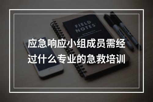 应急响应小组成员需经过什么专业的急救培训