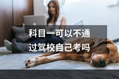 科目一可以不通过驾校自己考吗