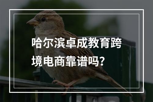 哈尔滨卓成教育跨境电商靠谱吗？