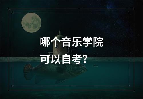 哪个音乐学院可以自考？