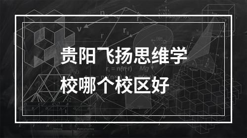 贵阳飞扬思维学校哪个校区好