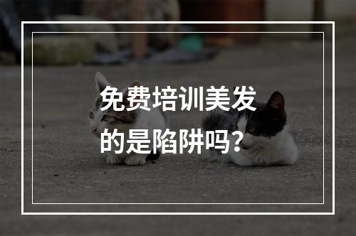 免费培训美发的是陷阱吗？