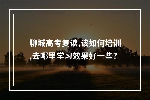 聊城高考复读,该如何培训,去哪里学习效果好一些?