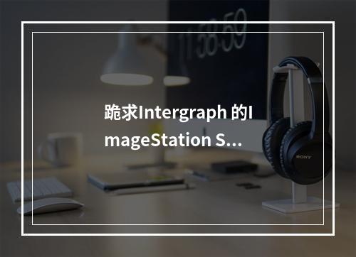 跪求Intergraph 的ImageStation SSK的资料