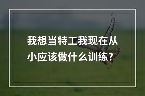 我想当特工我现在从小应该做什么训练?