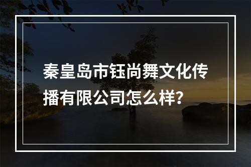 秦皇岛市钰尚舞文化传播有限公司怎么样？