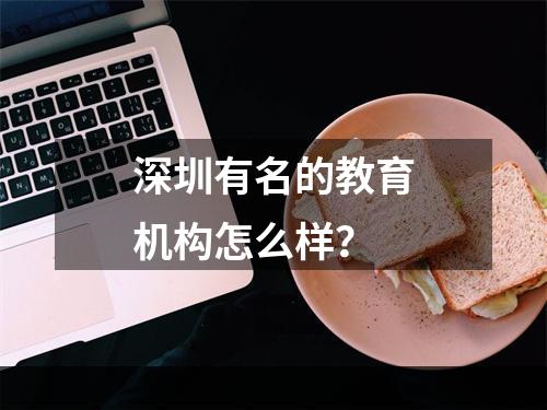 深圳有名的教育机构怎么样？