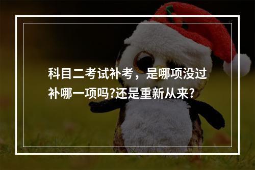 科目二考试补考，是哪项没过补哪一项吗?还是重新从来?