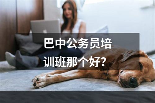 巴中公务员培训班那个好？