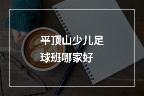 平顶山少儿足球班哪家好