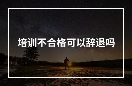 培训不合格可以辞退吗