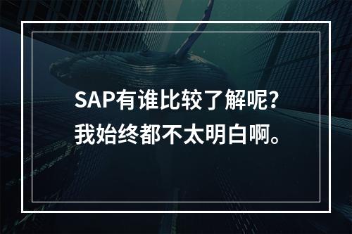 SAP有谁比较了解呢？我始终都不太明白啊。