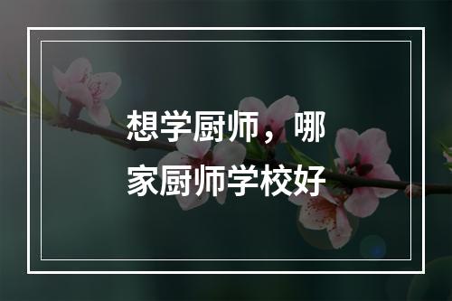 想学厨师，哪家厨师学校好