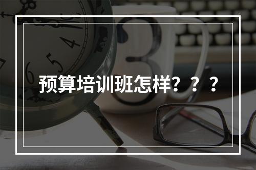 预算培训班怎样？？？