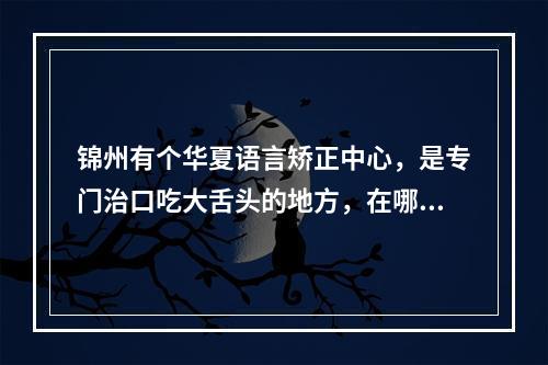 锦州有个华夏语言矫正中心，是专门治口吃大舌头的地方，在哪呀，联系电话是多少？