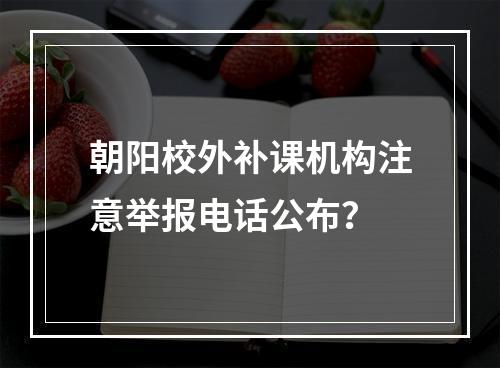 朝阳校外补课机构注意举报电话公布？