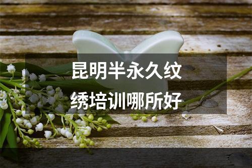 昆明半永久纹绣培训哪所好