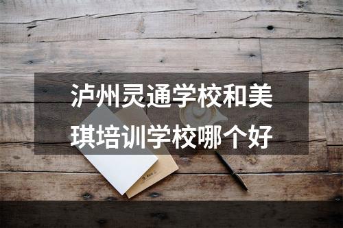 泸州灵通学校和美琪培训学校哪个好